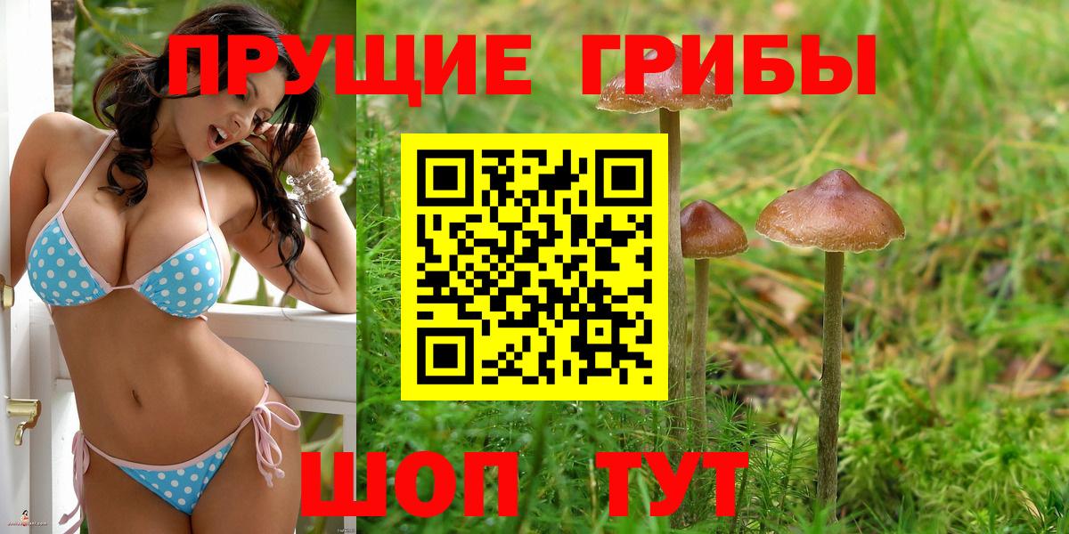 Псилоцибиновые грибы ЛСД Кузнецк